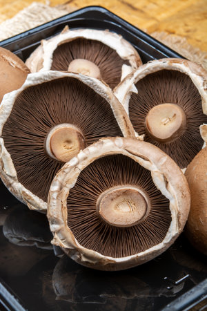Tasty vegetarian food, large brown mushrooms Agaricus bisporus portobello mushrooms close upの写真素材