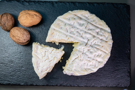 French cheeses collection, Saint-FÃ©licien cow's milk cheese with white mold from RhÃ´ne-Alpes region of Franceの写真素材
