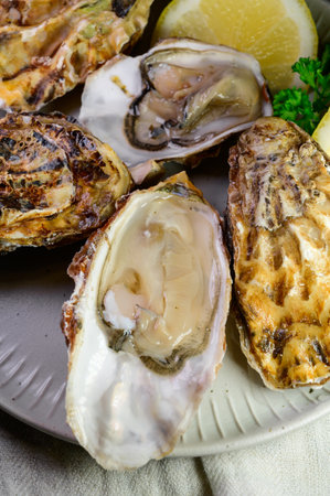 Eating of fresh big raw Zeeuwse Creuse Dutch oysters from Zeeland with fresh lemon juice, Netherlandsの写真素材