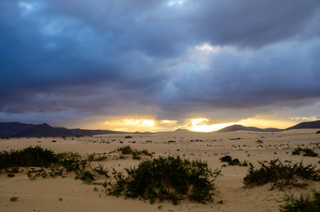 View on white sandy dunes near Corallejo beach at winter on sunset, Fuerteventura, Canary islands, Spainの写真素材