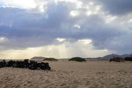 View on white sandy dunes near Corallejo beach at winter on sunset, Fuerteventura, Canary islands,...