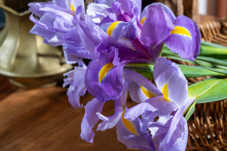 Springtime, bouquet of fresh spring purlpe iris flowers close up