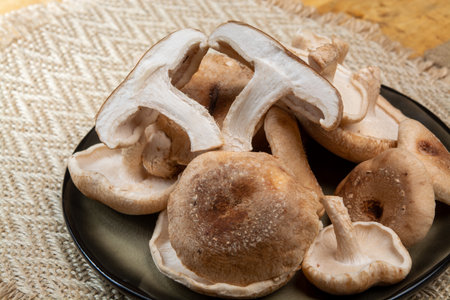 Fresh brown Lentinula edodes or shiitake edible mushrooms from Japan ready to cookの写真素材