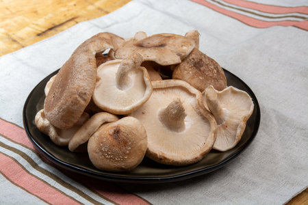 Fresh brown Lentinula edodes or shiitake edible mushrooms from Japan ready to cookの写真素材