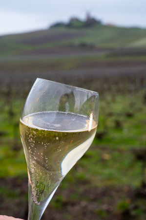 Winter tasting of brut champagne sparkling wine outdoor with view on pinot noir gran cru vineyards of famous champagne houses in Montagne de Reims near Verzenay, Champagne, Franceの写真素材