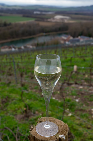 Glass of brut champagne sparkling wine with view on hilly pinot noir gran cru vineyards of famous champagne houses near Ay and Marne river in winter, Champagne, Franceの写真素材
