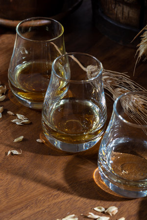 Speyside scotch whiskey tasting glasses on old dark wooden vintage table with barley grains close upの写真素材