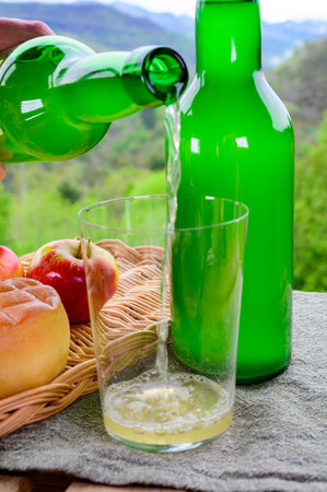 Natural Asturian cider made from fermented apples and Asturian cow smoked cheese and view Picos de Europa mountains on background, North of Spainの写真素材