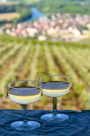 Tasting of premier cru sparkling white wine with bubbles champagne with view on green pinot noir, meunier vineyards of Hautvillers, Champagne, France.の写真素材
