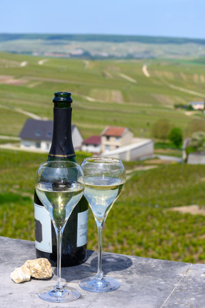 Tasting of grand cru sparkling white wine with bubbles champagne with summer view on houses and vineyards grand cru wine producer small village Cramant, Champagne, Franceの写真素材
