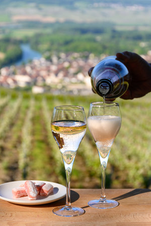 Tasting of cru sparkling rose wine with bubbles champagne with view on green pinot noir, meunier vineyards of Hautvillers, Champagne, France.の写真素材