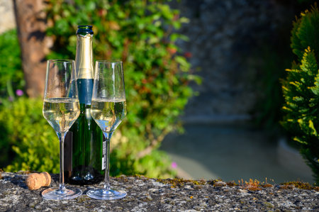 Tasting of cru sparkling white wine with bubbles champagne with view on old houses of Hautvillers, where lived Benedictine monk how first developed champagne wine, France.の写真素材