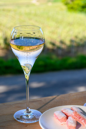 Tasting of premier cru sparkling white wine with bubbles champagne with view on green pinot noir, meunier vineyards of Hautvillers, Champagne, France.の写真素材