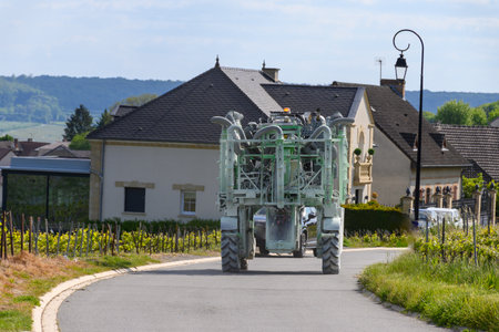 View on green cru champagne vineyards and Marne river in village Hautvillers near Epernay,...