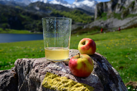 Glass of natural Asturian cider made from fermented apples with apples and view on Covadonga lake and tops of Picos de Europa mountains, Spainの写真素材