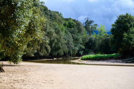 View on Playa de Poo during low tide near Llanes, Green coast of Asturias, North Spain with white sandy beaches, cliffs, hidden caves, green fields and mountains.の写真素材