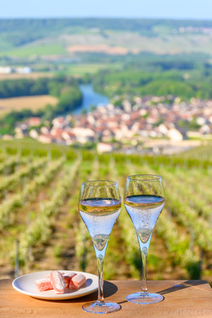 Tasting of premier cru sparkling rose wine with bubbles champagne with view on green pinot noir, meunier vineyards of Hautvillers, Champagne, France.の写真素材