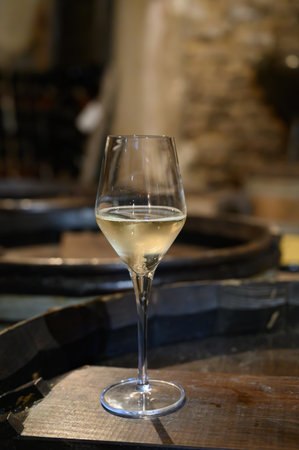 Tasting of grand cru sparkling brut white wine with bubbles champagne by old champagne caves in grand cru wine producer small village Cramant, Champagne, Franceの写真素材