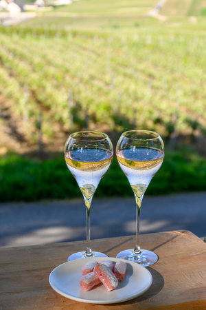 Tasting of cru sparkling white wine with bubbles champagne with view on green pinot noir, meunier vineyards of Hautvillers, Champagne, France.の写真素材