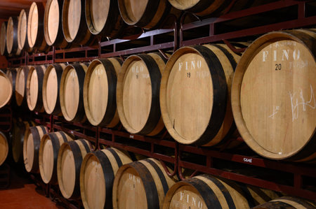 Production of fortified jerez, xeres, sherry wines in french oak barrels in sherry triangle, Jerez la Frontera, El Puerto Santa Maria and Sanlucar Barrameda Andalusia, Spainのeditorial素材