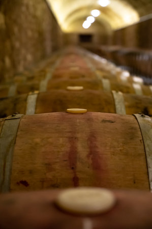 Old french oak wooden barrels in underground cellars for wine aging process, wine making in La Rioja region, Spainのeditorial素材