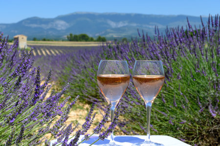 Summer in French Provence, cold gris rose wine from Cotes de Provence and blossoming colorful lavender fields on Valensole plateau, tastes and aromas of Provence, France.の写真素材
