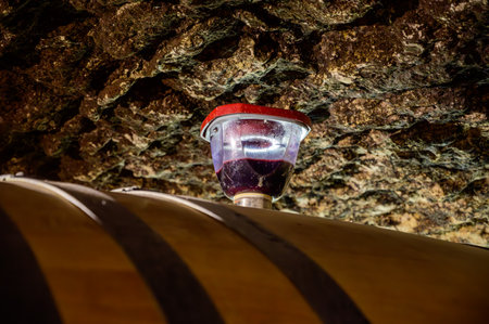 Underground wine cellars with barrels for aging of red dry wine in Chateauneuf-du-Pape wine making village in France with green vineyards on large pebbles galets and sandstone clay soils.の写真素材