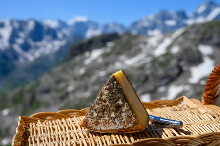 Cheese collection, Tomme de Savoie cheese from Savoy region in French Alps, mild cow's milk cheese served outdoor, view on snowy tops of French Alpes mountainsの写真素材