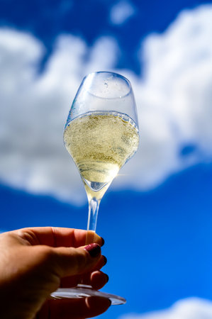 Glass of sparkling white wine with bubbles champagne and blue sky in Cote des Bar, Champagne region, France in summerの写真素材