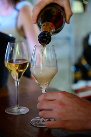 Tasting of sparkling white wine with bubbles champagne on summer weekend festival route of champagne in Cote des Bar, Champagne region, Franceの写真素材