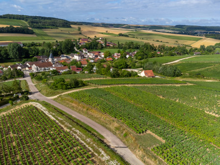Aerial view on hilly green inyards and village Urville, champagne vineyards in Cote des Bar, Aube, south of Champange, Franceの写真素材