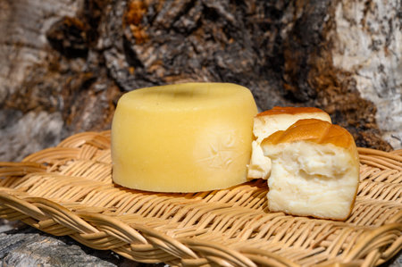Different Cantabrian cheeses made from cow, goat and sheep milk in farmers cheese shop, mountains of...