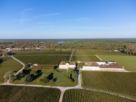 Aerial view on left bank of Gironde Estuary with green vineyards with red Cabernet Sauvignon grape...