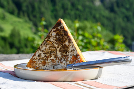 Cheese collection, Tomme de Savoie cheese from Savoy region in French Alps, mild cow's milk cheese with beige interior and thick brownish-grey rind served outdoor, mountains viewの写真素材