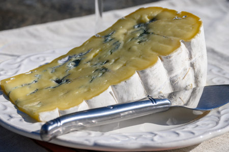 Cheese collection, piece of French Alps mountains blue cheese Bleu de Savoie close upの写真素材