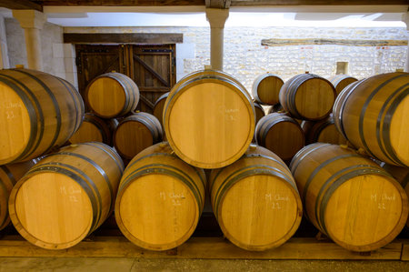 Wine tour in cellars of domain in Pouilly-Fume appellation, white wine from vineyards of...