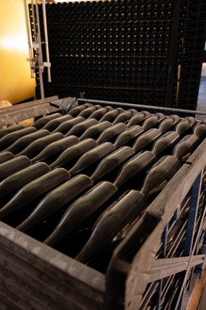 Traditional method of production of cremant sparkling wine in south part of Luxembourg country on bank of Moezel, also known as Mosel, Moselle or Musel river.の写真素材