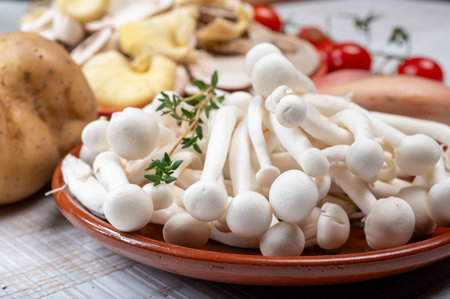 White shimeji edible mushrooms native to East Asia, buna-shimeji is widely cultivated and rich in umami tasting compounds. Mushrooms mix.の写真素材