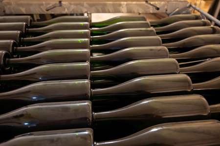 Traditional method of production of cremant sparkling wine in south part of Luxembourg country on bank of Moezel, also known as Mosel, Moselle or Musel river.の写真素材