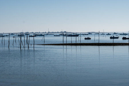 View on Arcachon Bay at low tide with many fisherman's boats and oysters farms from Cap Ferret peninsula, France, southwest of Bordeaux along France's Atlantic coastlineの写真素材