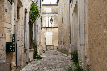 View on old streets and houses in Cognac white wine region, Charente region, walking in town Cognac with strong spirits distillation industry, Grand Champagne, Franceの写真素材
