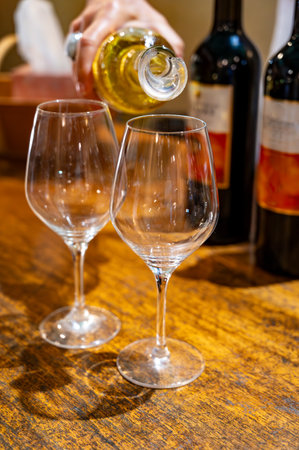 Tasting of sweet white dessert Sauternes wines in old wine domain on Sauternes vineyards in Barsac village affected by Botrytis cinerea noble rot, Bordeaux, Franceの写真素材