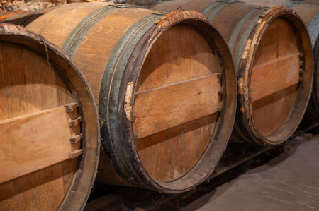 Wine cellar with oak wooden barrels in old wine domain on Sauternes vineyards in Barsac village with grapes affected by Botrytis cinerea noble rot, making of sweet dessert Sauternes wines in Bordeaux, Franceの写真素材
