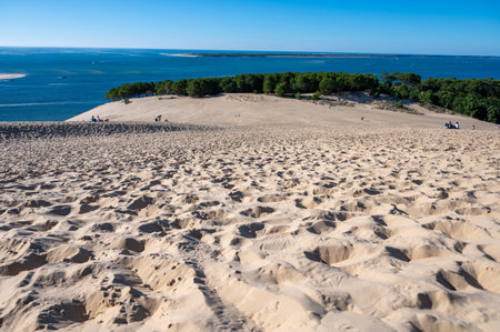 View from Dune of Pilat tallest sand dune in Europe located in La Teste-de-Buch in Arcachon Bay area, France southwest of Bordeaux along France's Atlantic coastline in sunny dayの写真素材