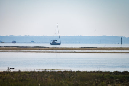 View on Arcachon Bay at low tide with many fisherman's boats and oysters farms from Cap Ferret peninsula, France, southwest of Bordeaux along France's Atlantic coastlineの写真素材