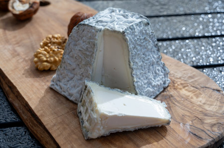 Cheese collection, French Valencay with black mold pyramid cheese made from goat milk in France close upの写真素材