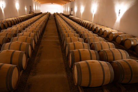Wine celler with french oak barrels for aging of red wine made from Cabernet Sauvignon grape...