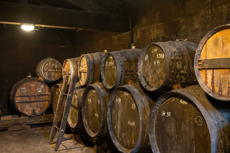 Aging process of cognac spirit in old dark French oak barrels in cellar in distillery house, Cognac white wine region, Charente, Segonzac, Grand Champagne, Franceの写真素材