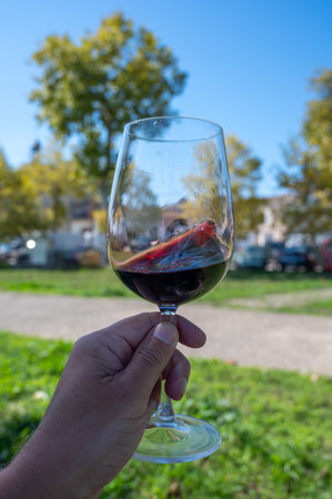 Red dry Bordeaux wine tasting in wine making Pauillac village, Haut-Medoc vineyards in Bordeaux, sunny day, left bank of Gironde Estuary, Franceの写真素材