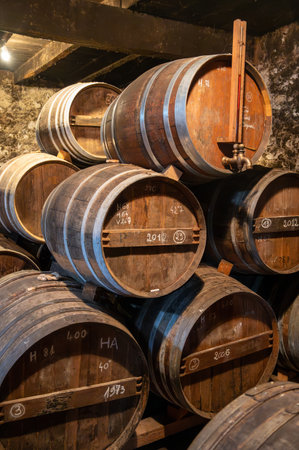 Aging process of cognac spirit in old dark French oak barrels in cellar in distillery house, Cognac white wine region, Charente, Segonzac, Grand Champagne, Franceの写真素材